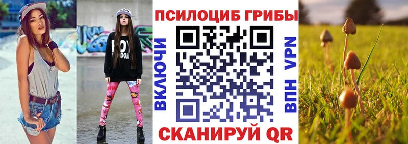 сколько стоит  Курлово  Псилоцибиновые грибы Cubensis 